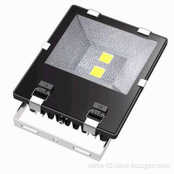 Shenzhen high quality LED Floodlight IP65
